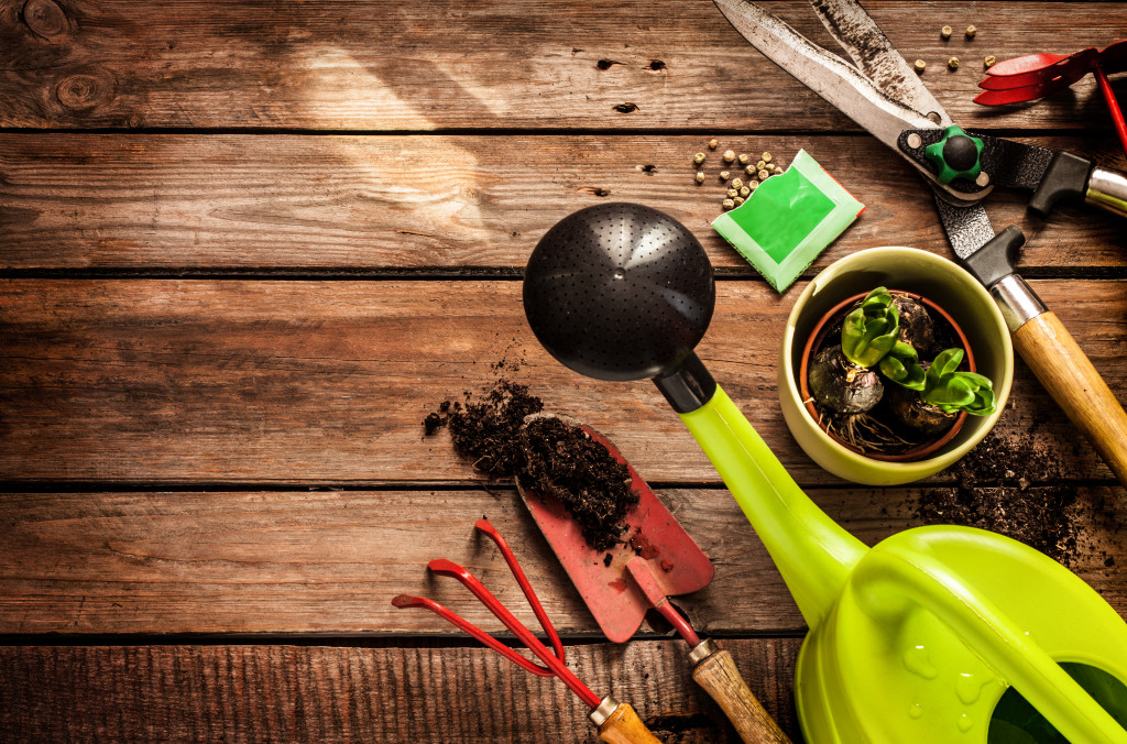 Gardening tools on a wooden surface