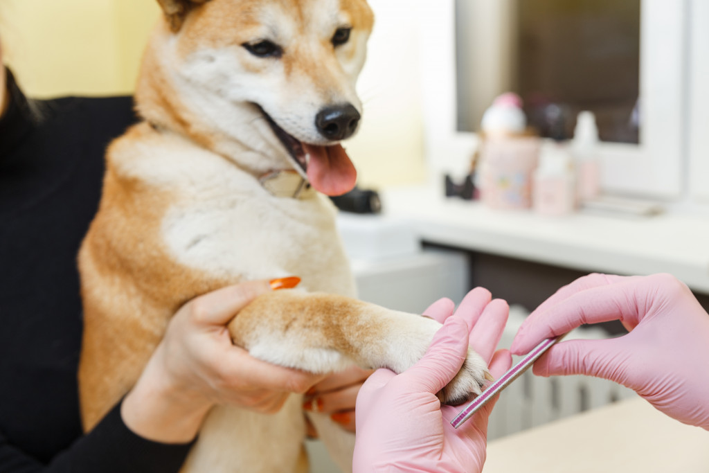 Pet grooming services